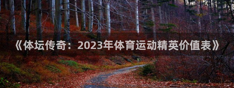 胜天国际体育