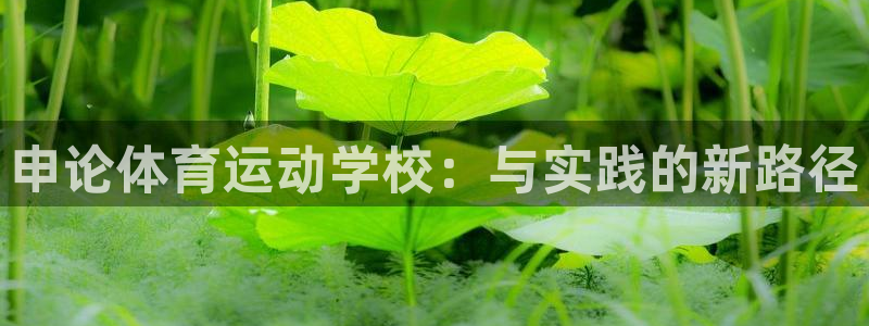 意昂平台注册入口：申论体育运动学校：与实践的新路径