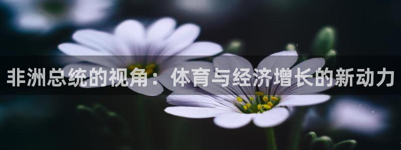 胜天国际体育平台开号链接